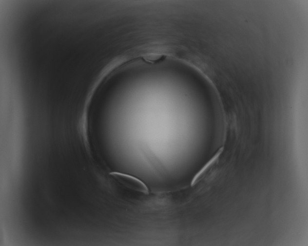 X0000101470148200807071450