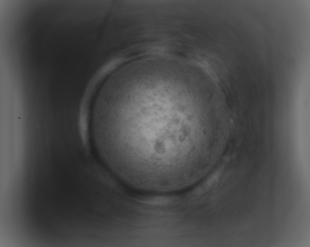 X0000101470149200807071450