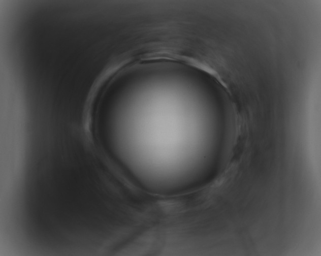 X0000101470150200807071450