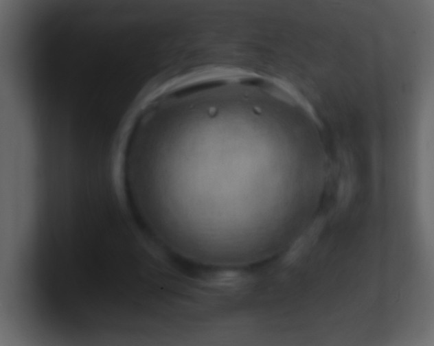 X0000101470151200807071450