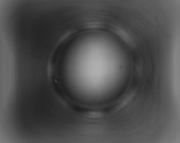X0000101470160200807071450