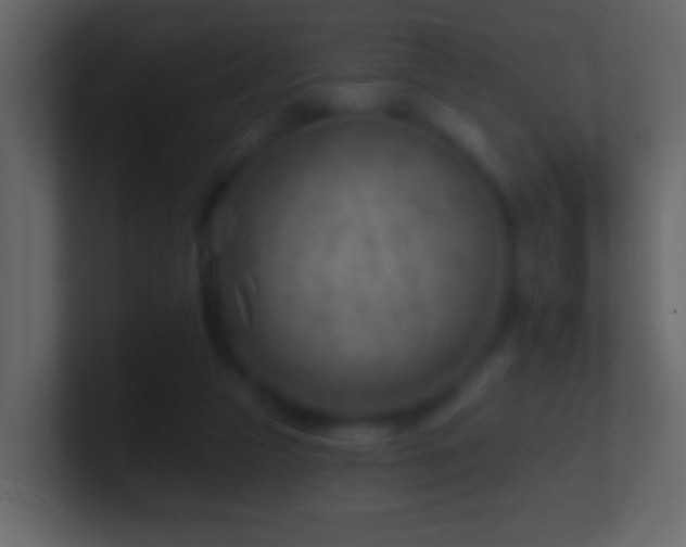 X0000101470161200807071450