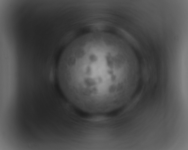 X0000101470169200807071450