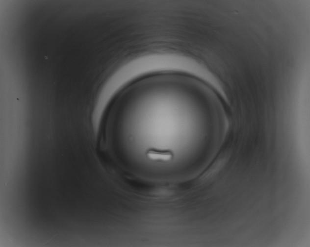 X0000101470176200807071450