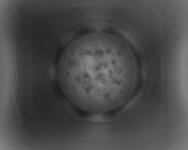 X0000101470177200807071450