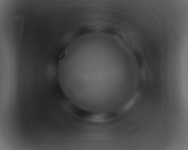 X0000101470178200807071450