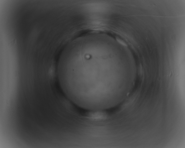 X0000101470181200807071450