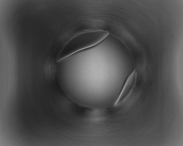 X0000101470184200807071451
