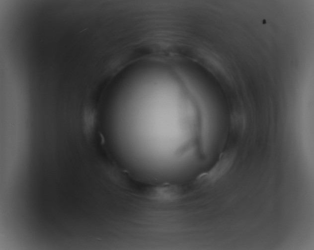 X0000101470188200807071451