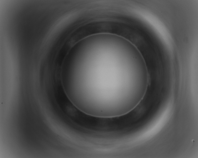X0000101470190200807071451