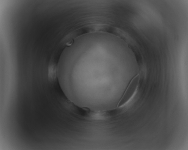 X0000101470191200807071451