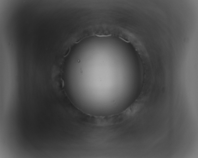 X0000101470192200807071451