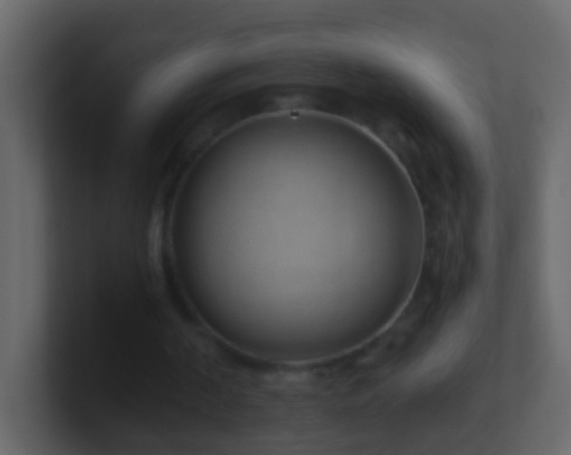 X0000101470194200807071450