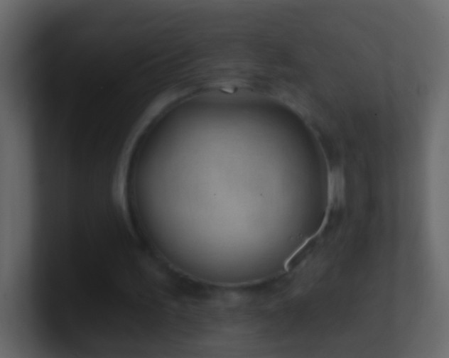 X0000101470195200807071450
