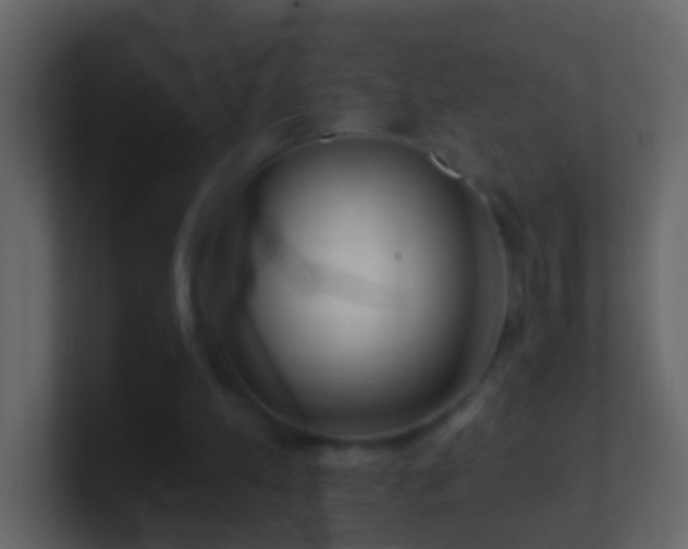 X0000101470197200807071450