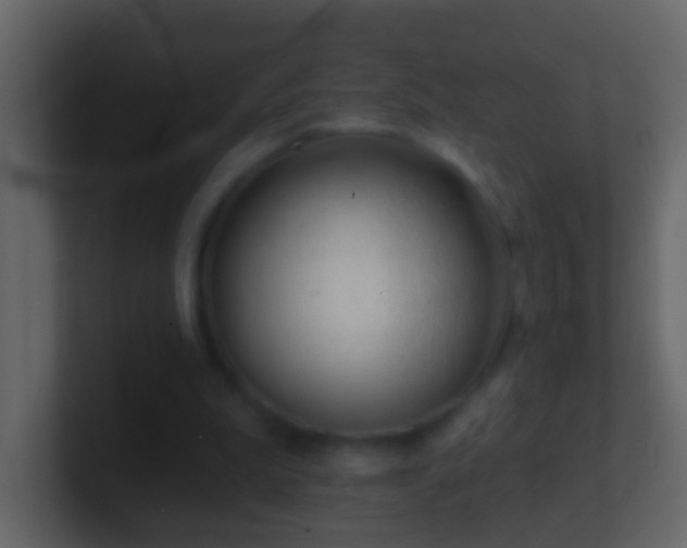 X0000101470199200807071450