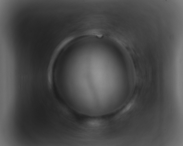 X0000101470200200807071450
