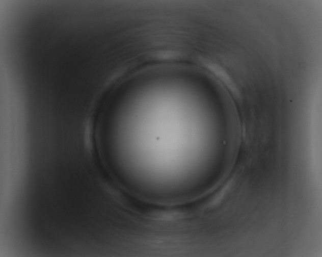 X0000101470201200807071450