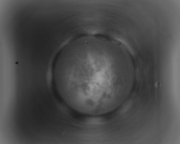 X0000101470202200807071450