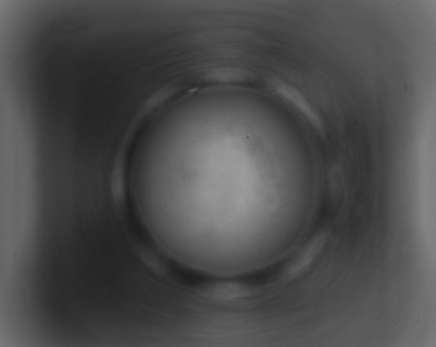 X0000101470203200807071450