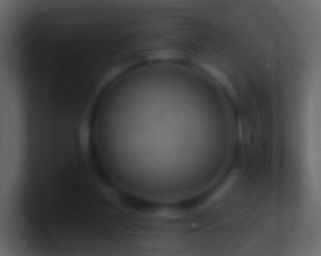 X0000101470204200807071450