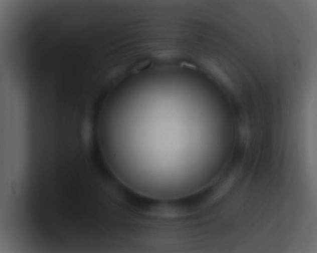 X0000101470211200807071450