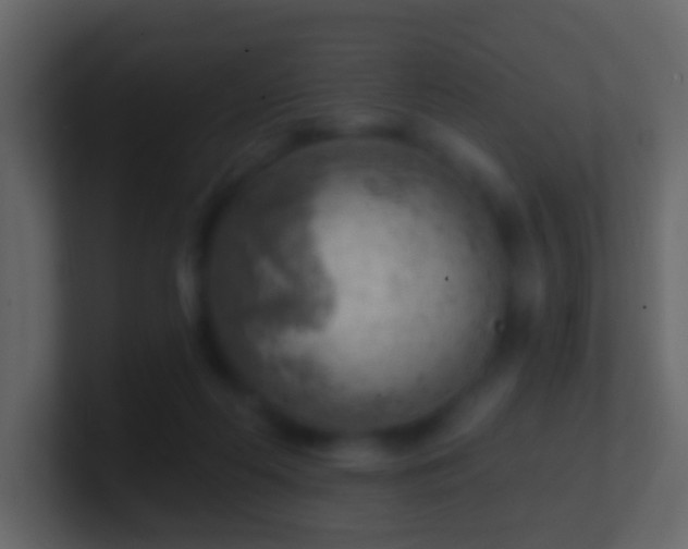 X0000101470214200807071450