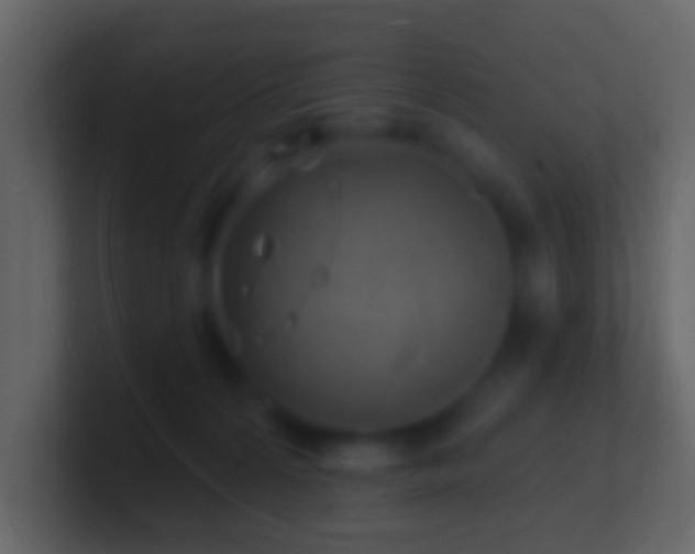 X0000101470224200807071450