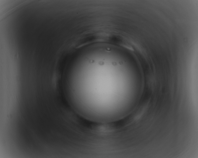 X0000101470229200807071450