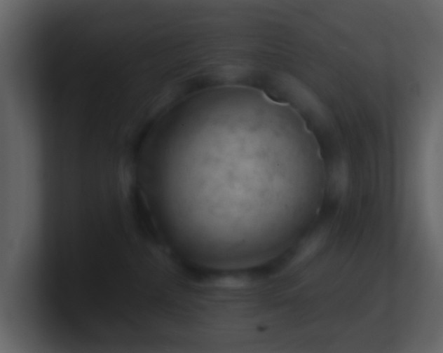X0000101470236200807071449