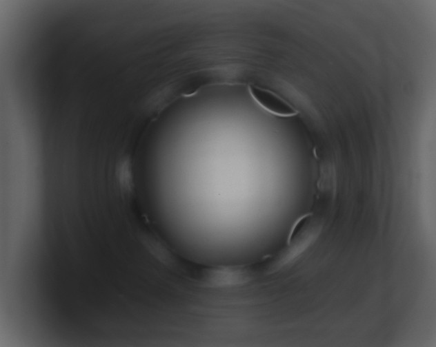 X0000101470238200807071449