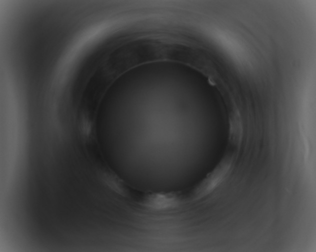 X0000101470239200807071449