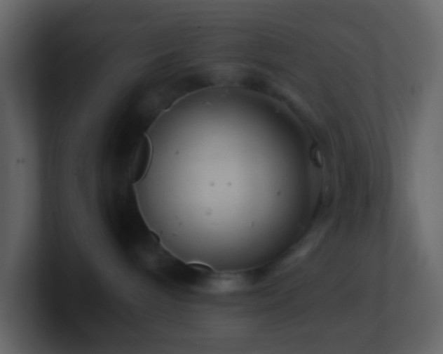 X0000101470240200807071449