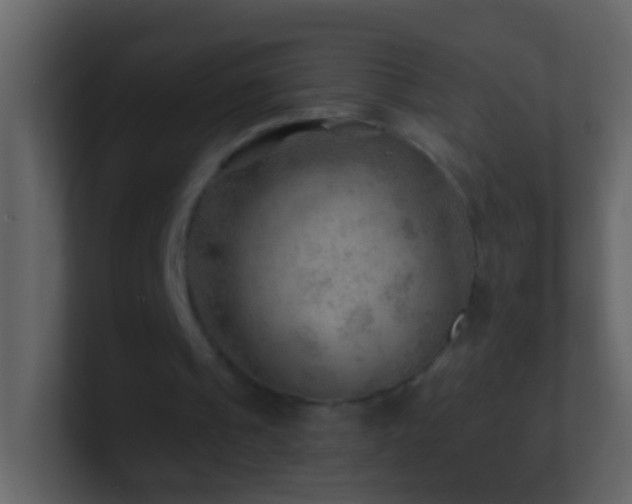 X0000101470241200807071449
