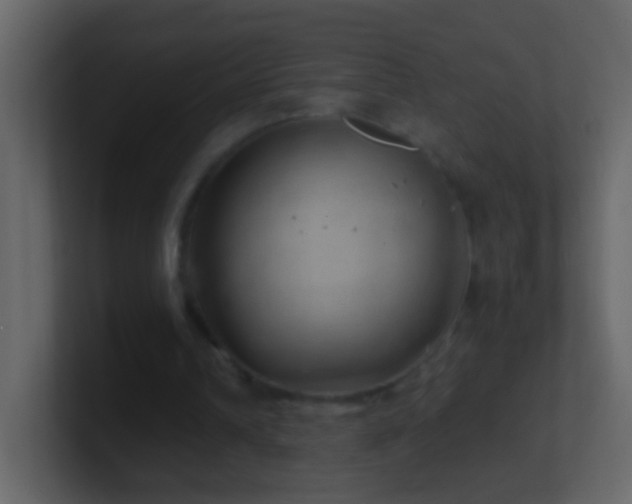 X0000101470242200807071449