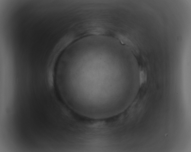 X0000101470243200807071449