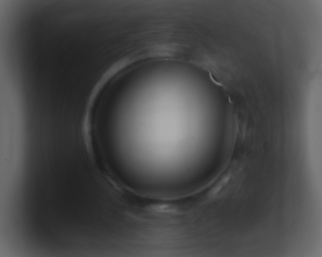 X0000101470244200807071449