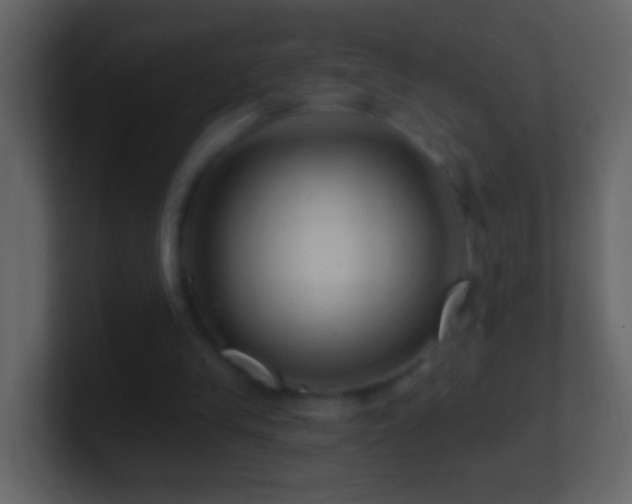X0000101470245200807071449