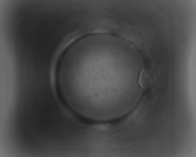 X0000101470247200807071449