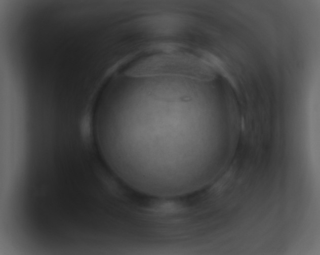 X0000101470249200807071449