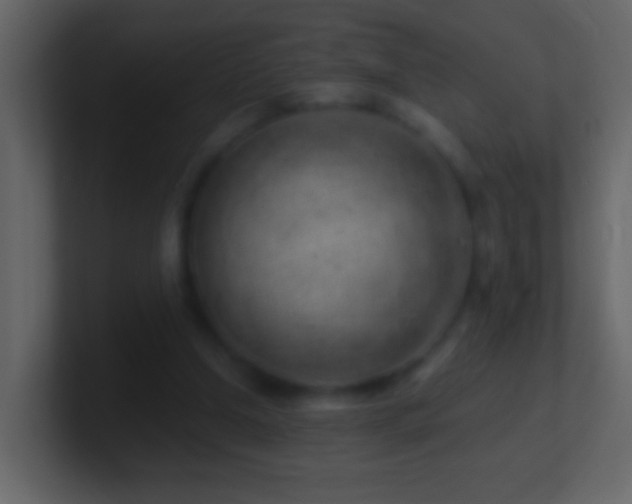 X0000101470250200807071449