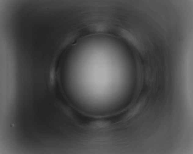 X0000101470251200807071449