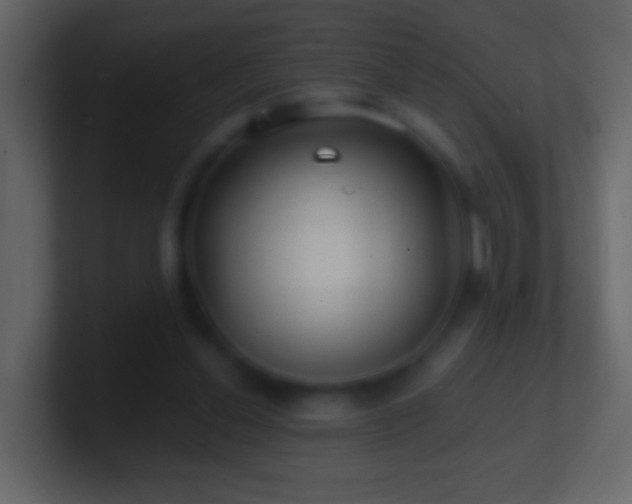 X0000101470252200807071449