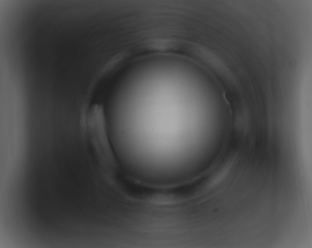 X0000101470256200807071449