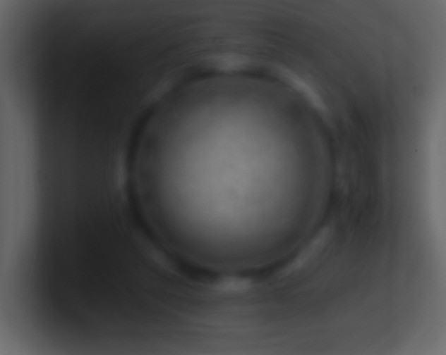 X0000101470257200807071449