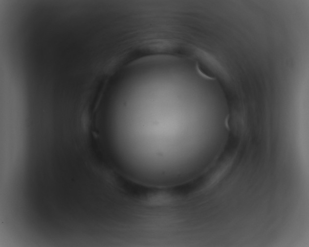 X0000101470259200807071449