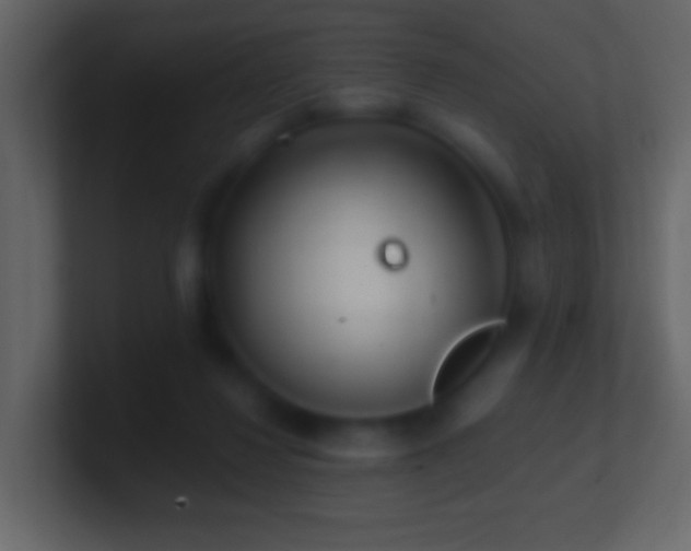 X0000101470260200807071449