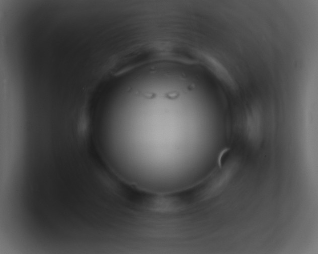 X0000101470261200807071449