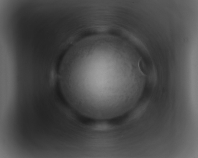 X0000101470262200807071449