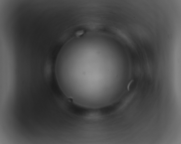 X0000101470263200807071449